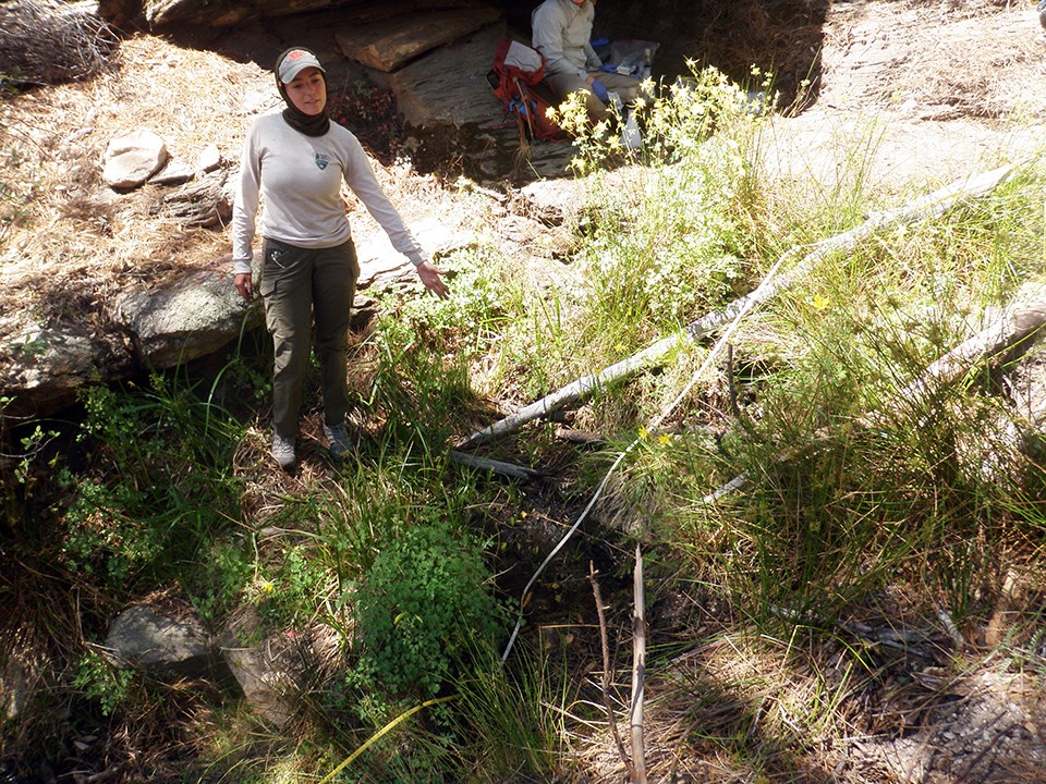 A person pointing at a small pool ringed with grasses and sedges in a canyon and a measuring tape laid over the pool..