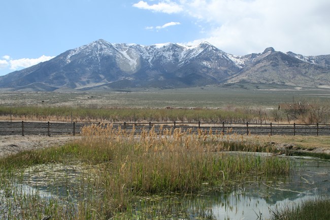 A pond with willows sits in front of a distant, snow-capped mountain range.