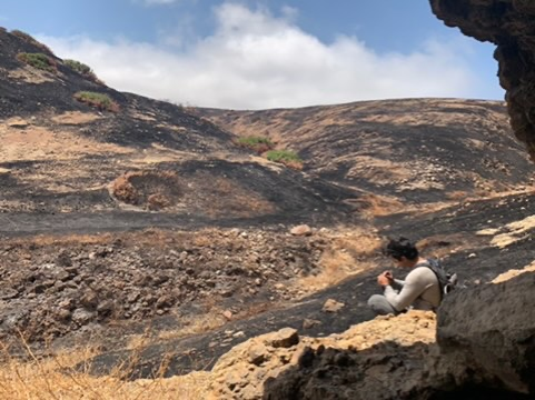 Person examining an artifact beside a rock formation, with a charred landscape beyond.