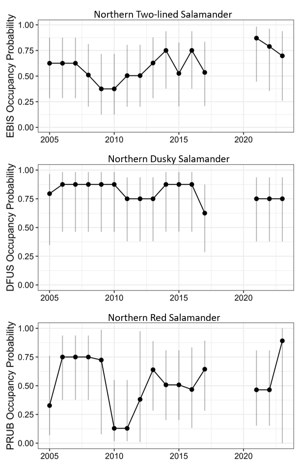 Graphs showing occupancy data for each stream amphibian species at C&O Canal over the years 2015-2023