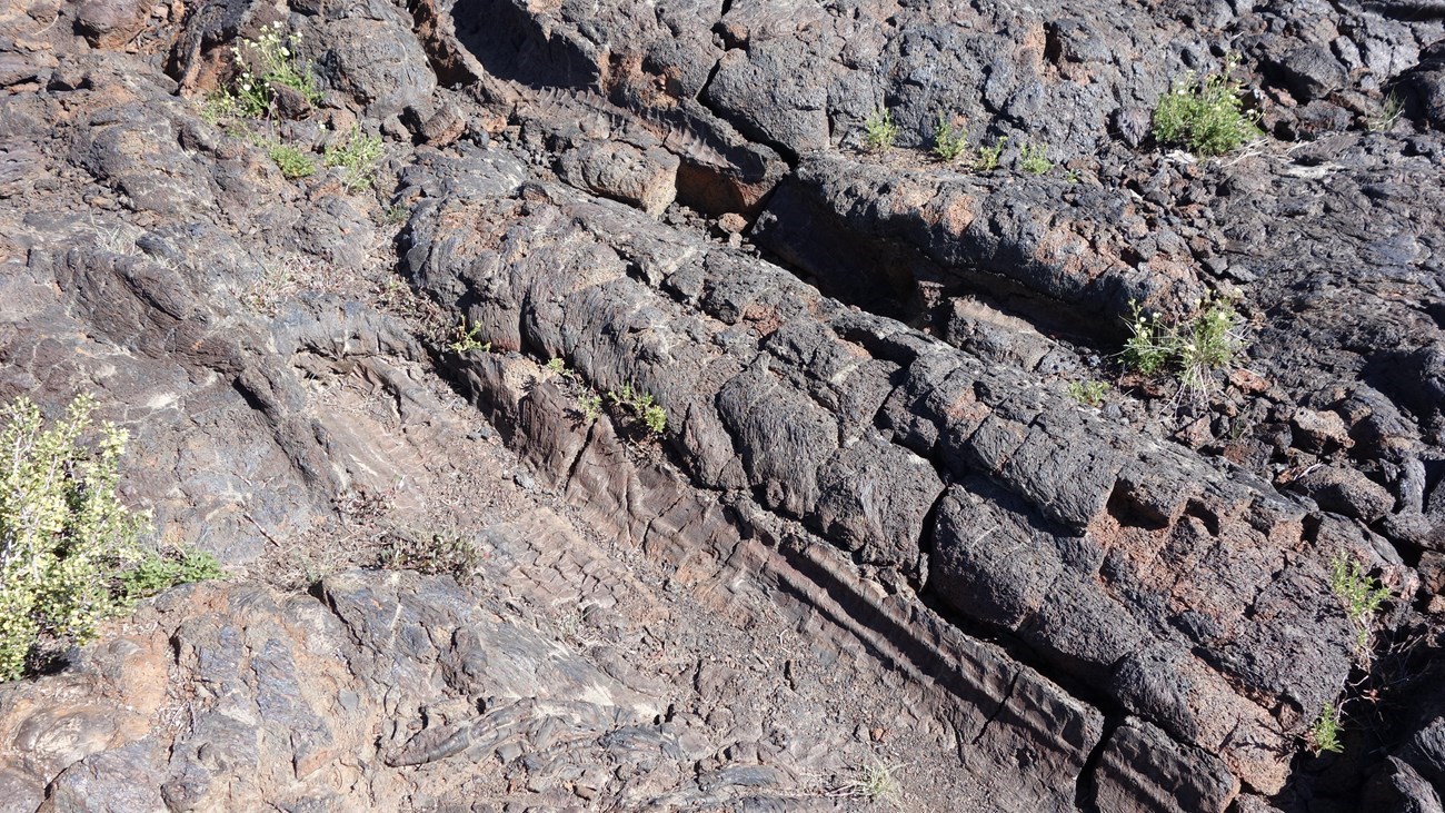 CRMO A39316A2-0EA8-DFDF-226A8CBF6D0D6289 Photo of lava rock with impression of a tree trunk.