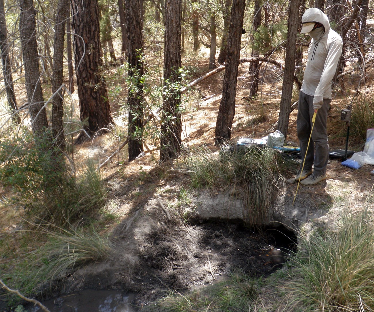 Cabin Spring A person standing next to a narrow crevice in a hillside with water pooling adjacent to the crevice.