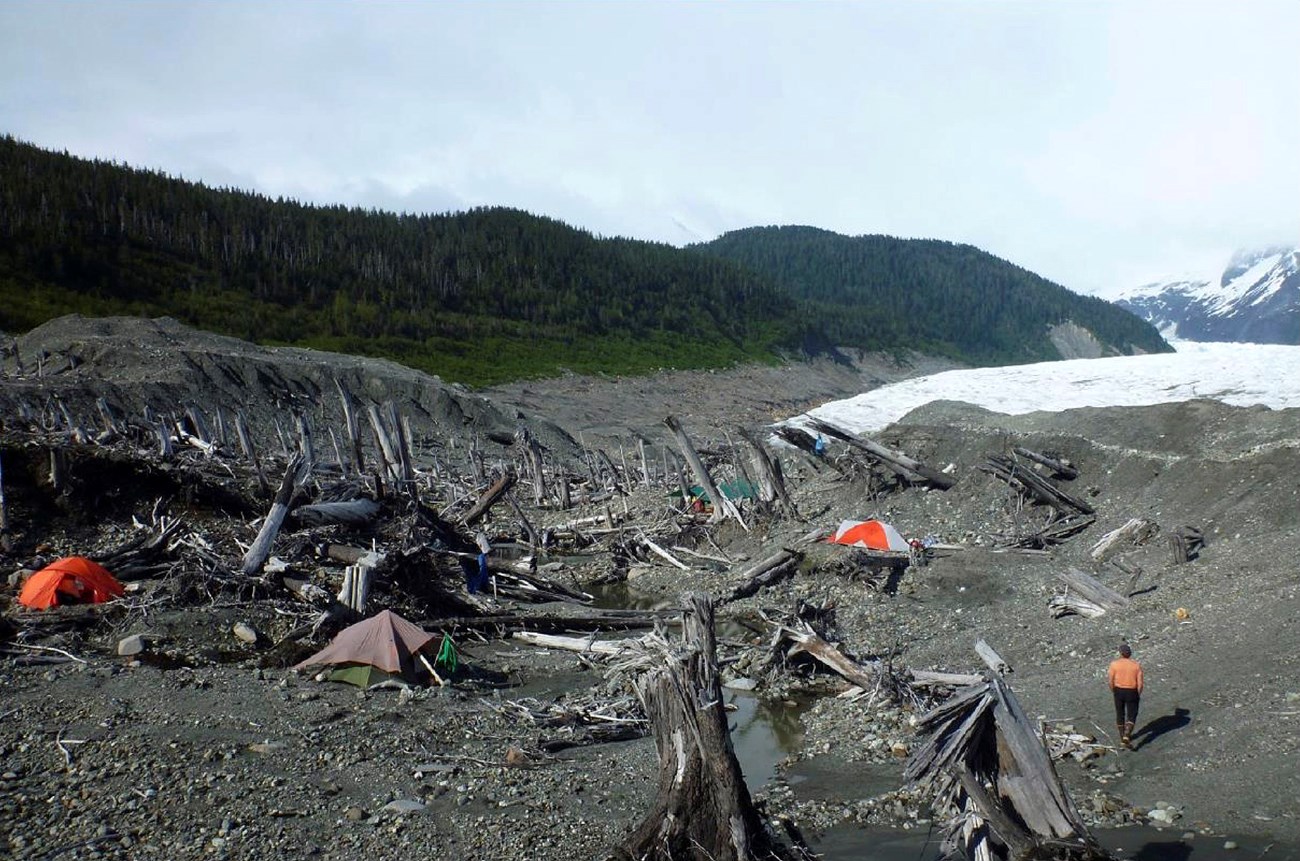 Camping on the edge of La Perouse Glacier xx