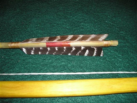 A cane river arrow and a section of bright yellow bois d’arc bow limb