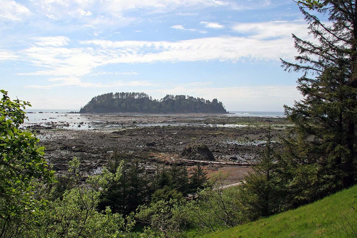 Landscape photo of beach at low tide, sand stretching to a wooded island in the distance.