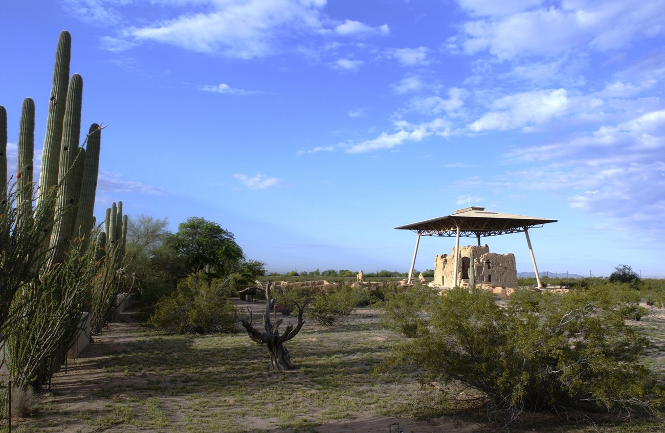 Casa Grande under a roof with saguaro and mesquite in the foreground.