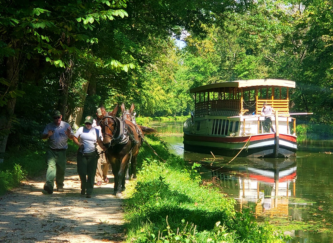 Chesapeake and Ohio Canal National Historic Park Two men and a woman holding horses walk next to a canal surrounded by lush green plants. There is a ferry with an operator, moored on the canal. The operator and the man and woman in front are wearing NPS uniforms.