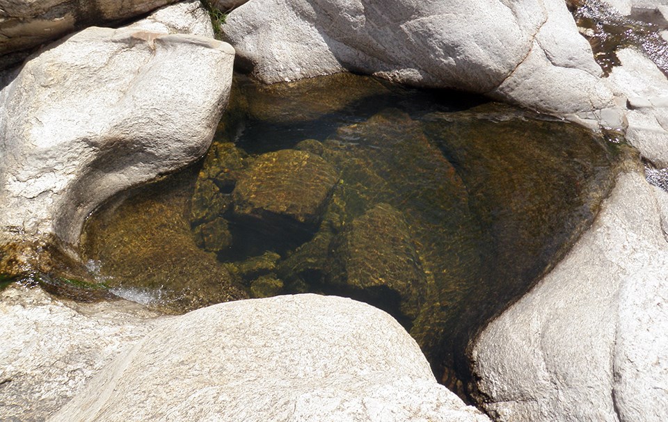 A small pool of clear water in a bedrock depression