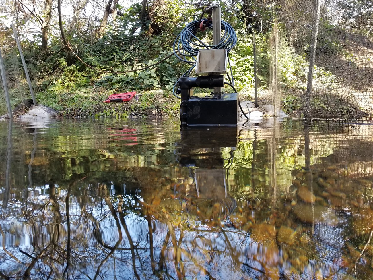 Partially submerged black, box-y device mounted to a pole at the edge of a calm creek.
