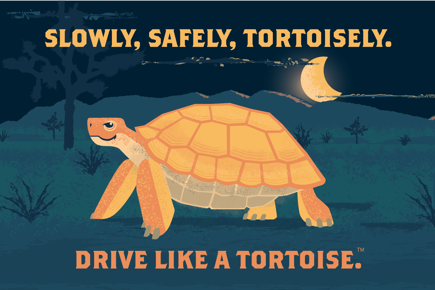 Drive Like a Tortoise Campaign