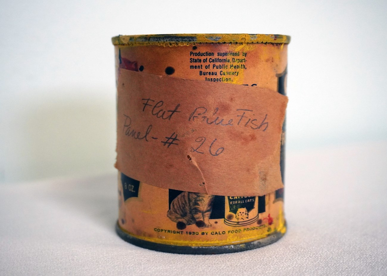Cylindrical metal can with yellow paint remnants has handwritten note that reads “Flat Blue Fish, Panel - #26.”