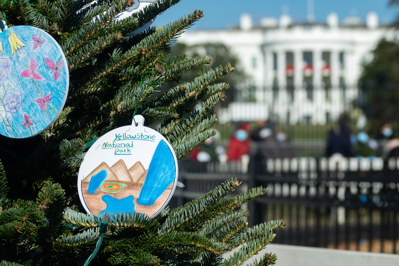 National Christmas Tree 2021 close up image of part of christmas tree with ornament that is a drawing of yosemite, and in the background you can see the white house