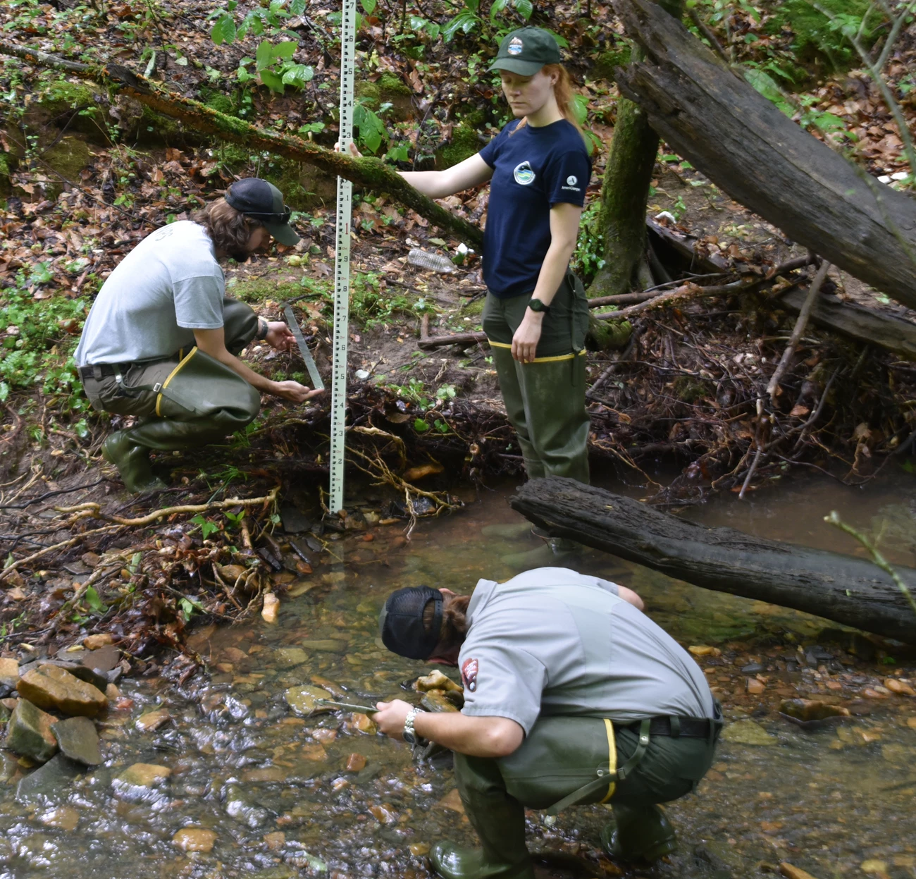 Wadeable stream monitoring at CHAT Woman holding clipboard holds a measuring stick on a stream bank while a man measures from the edge of the bank and another man kneels in the stream to get the measurement
