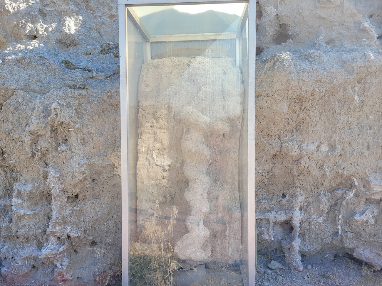 Daemonelix_Corkscrew wiki Trace fossil of an animal burrow.