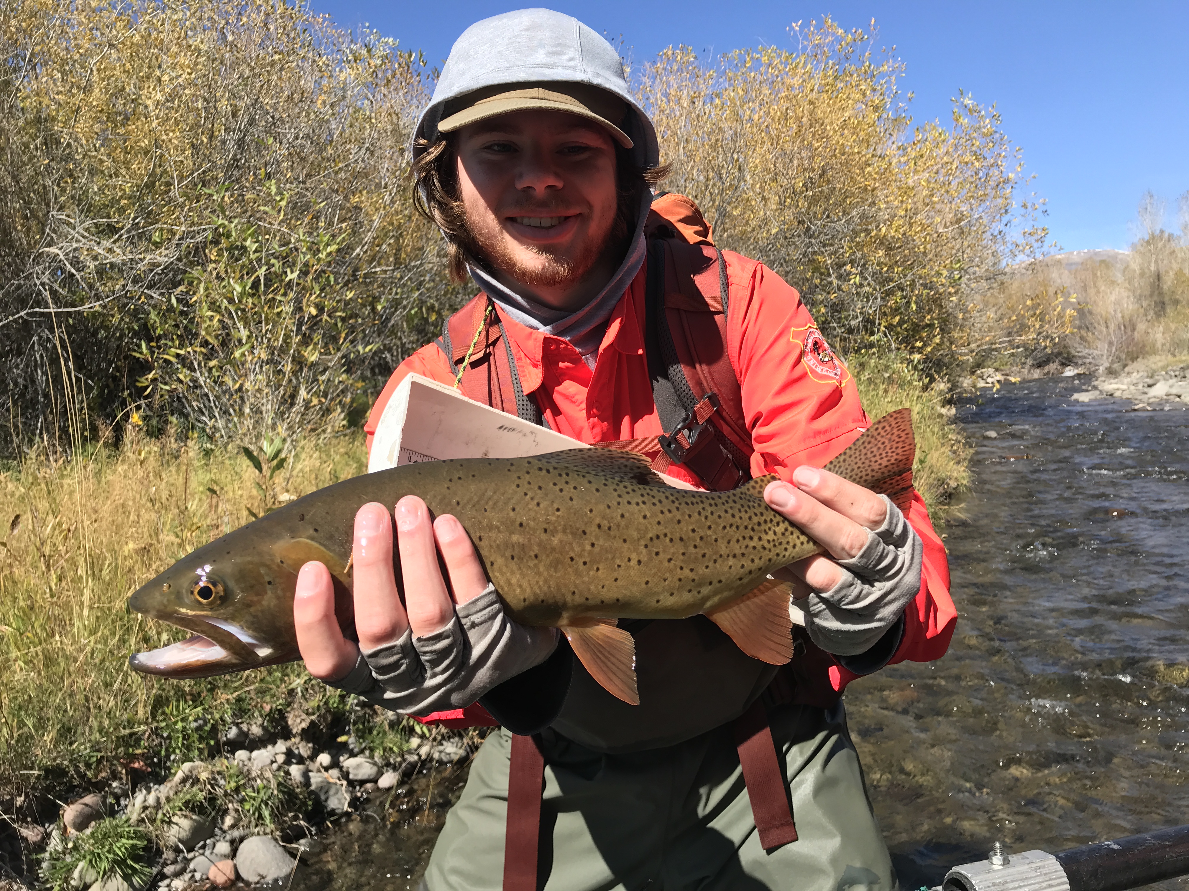 I finally caught that fish! Subtitles [fly fishing]Cherry salmon