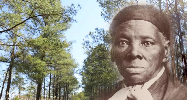 Travel with Tubman Historic portrait of Harriet Tubman on top of a modern photo of a pine forest