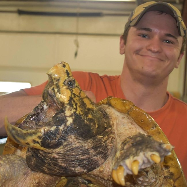 Delisle_Thumbnail A young man holds a snapping turtle.