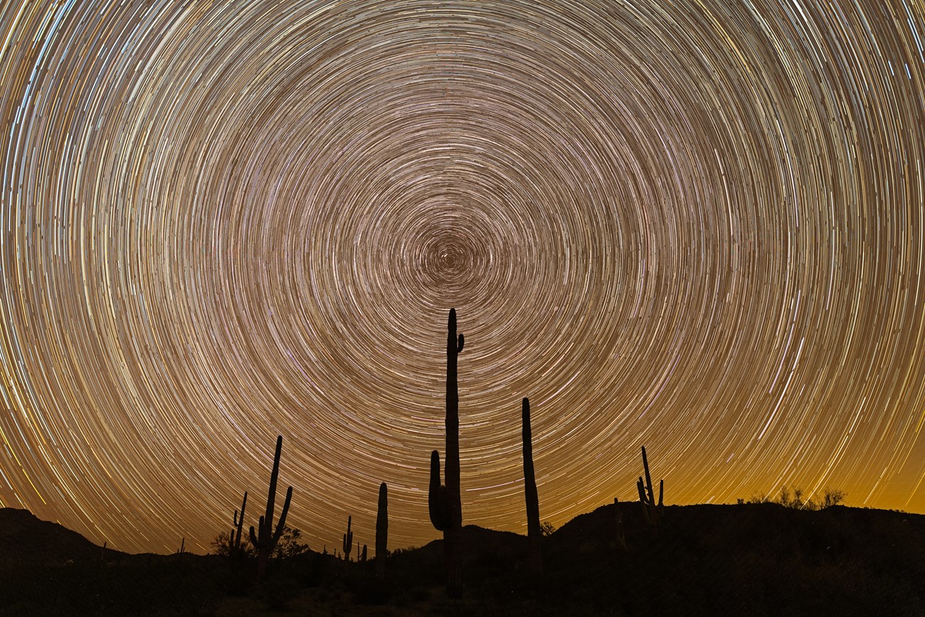 silhouettes of saguaro cacti with the circular patterns of star trails across the sky