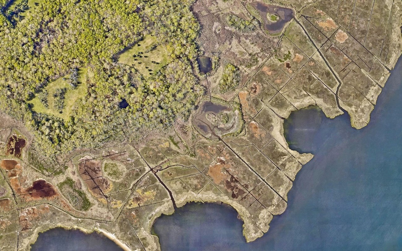 An aerial view of a green, tan and brown marsh along a coastline with seawater on one side and forest one the other.