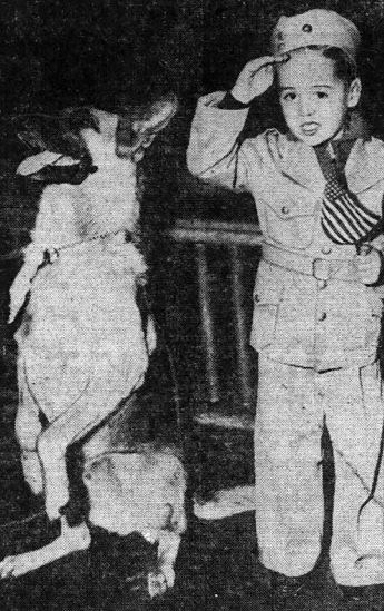 Black and white newspaper photo of a young boy dressed in uniform saluting while looking into the camera. He is holding an American flag. Beside him a German shepherd sitting up on his hind legs.