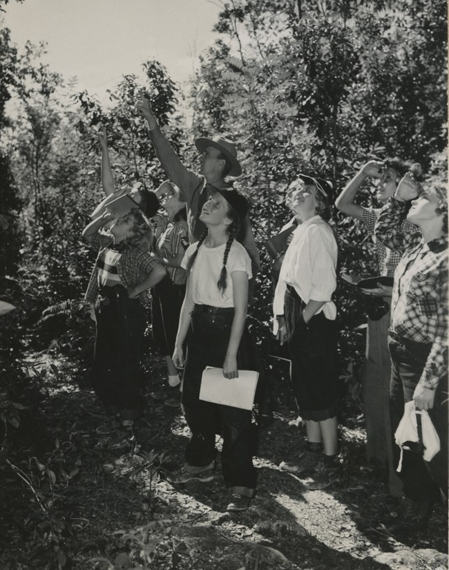 A group of nine girls and a park ranger stand on a trail among trees. Everyone looks up to where the ranger is pointing to something out of shot.