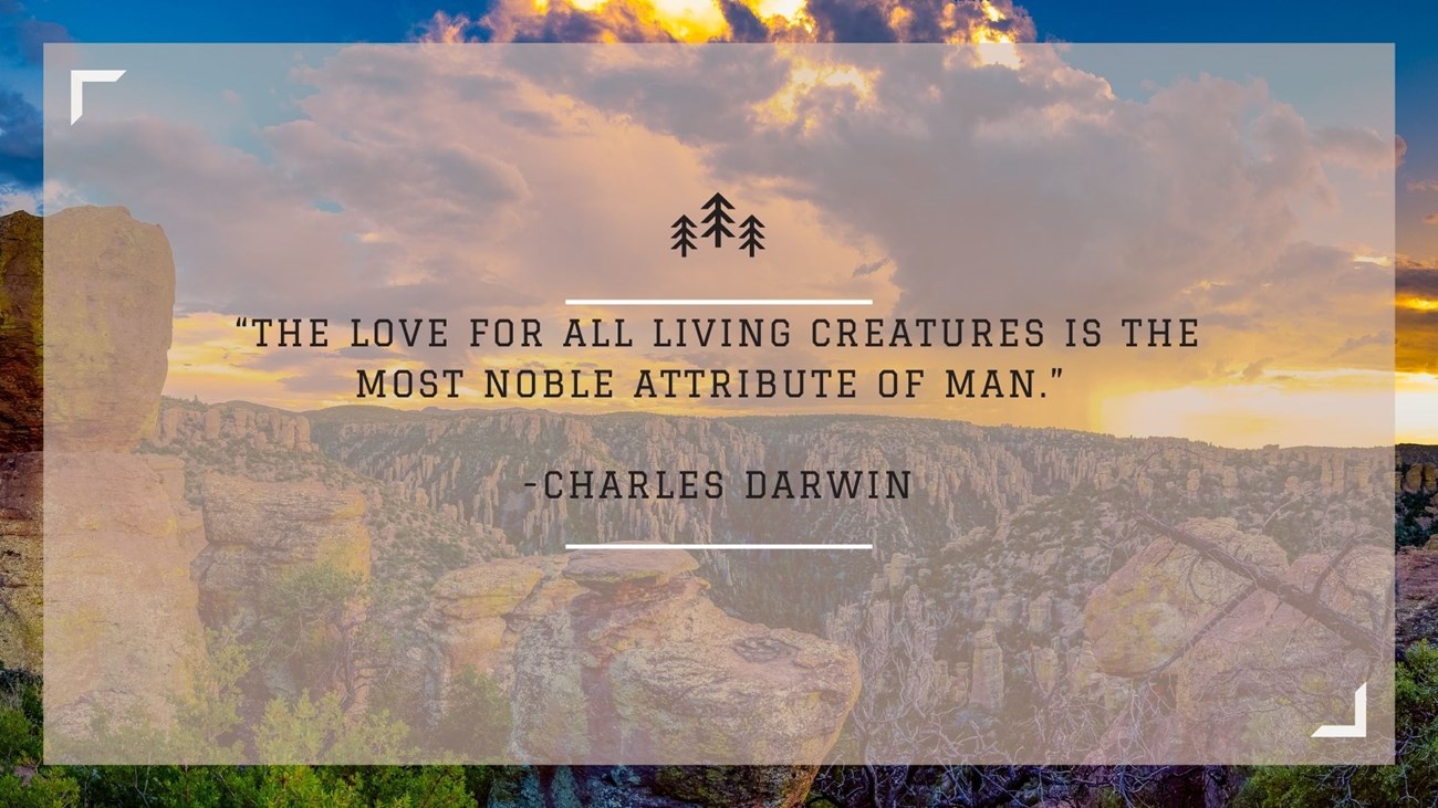 a photo of Chiricahua with text reading “The love for all living creatures is the most noble attribute of man.” -Charles Darwin