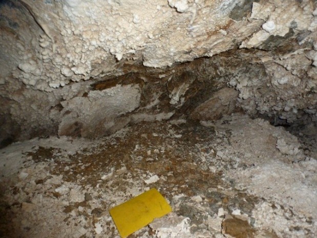 Shale exposed in a short side passage of the Gypsum Annex