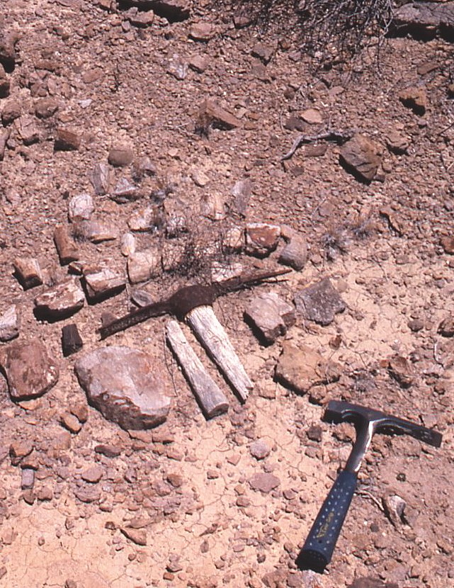 Photo of rocks and broken tools on the ground.