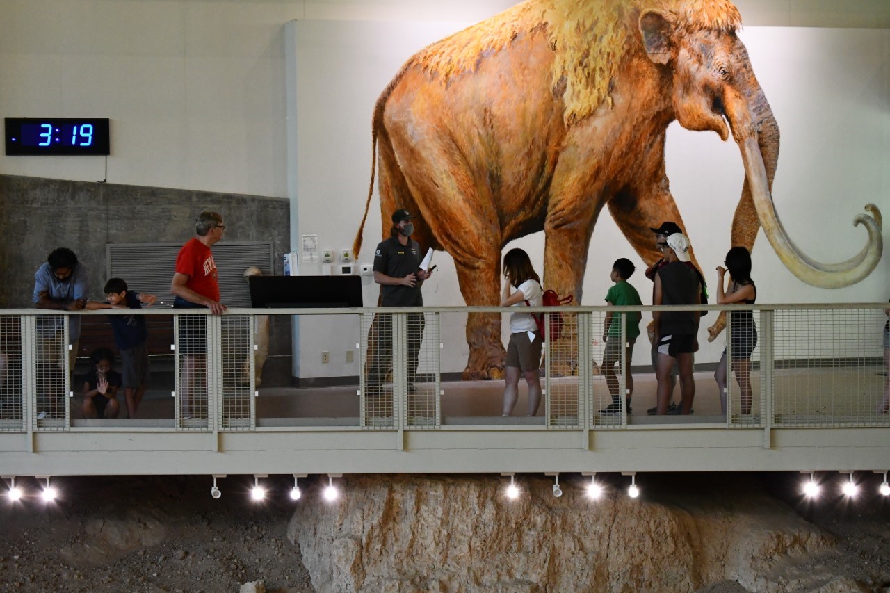 people standing near an exhibit featuring a full size mammoth display