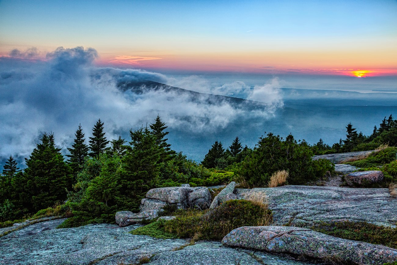 Landscape photo at dawn with rocky mountain summit and small trees in foreground