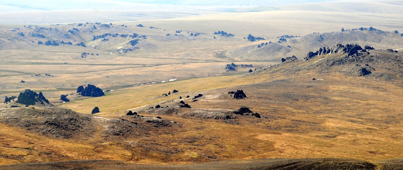 an open tundra valley in brown and golden pre-summer foliage with scattered rock outcroppings