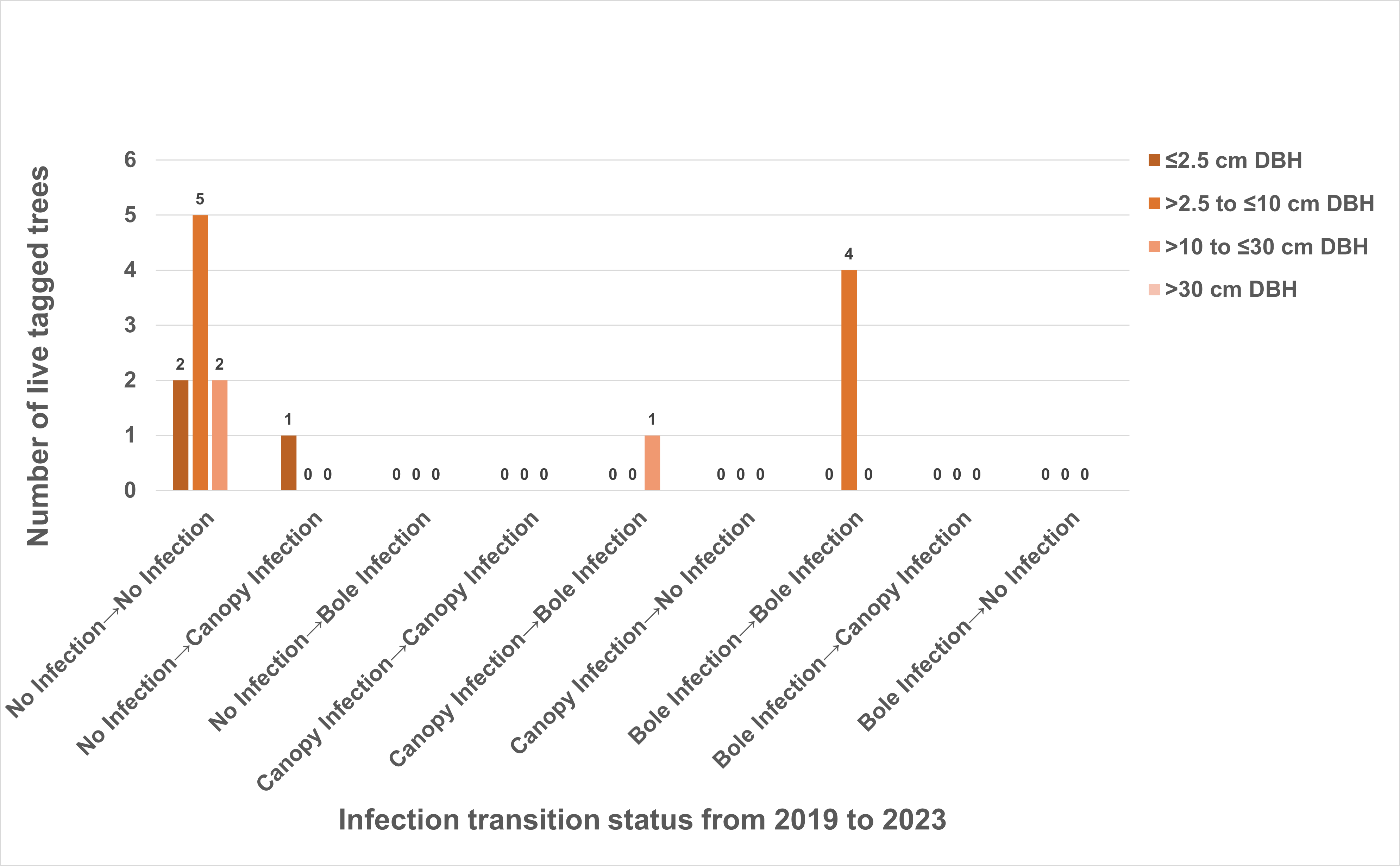 Change in blister rust infection status by size class. Bar chart showing that a majority of trees stayed uninfected.