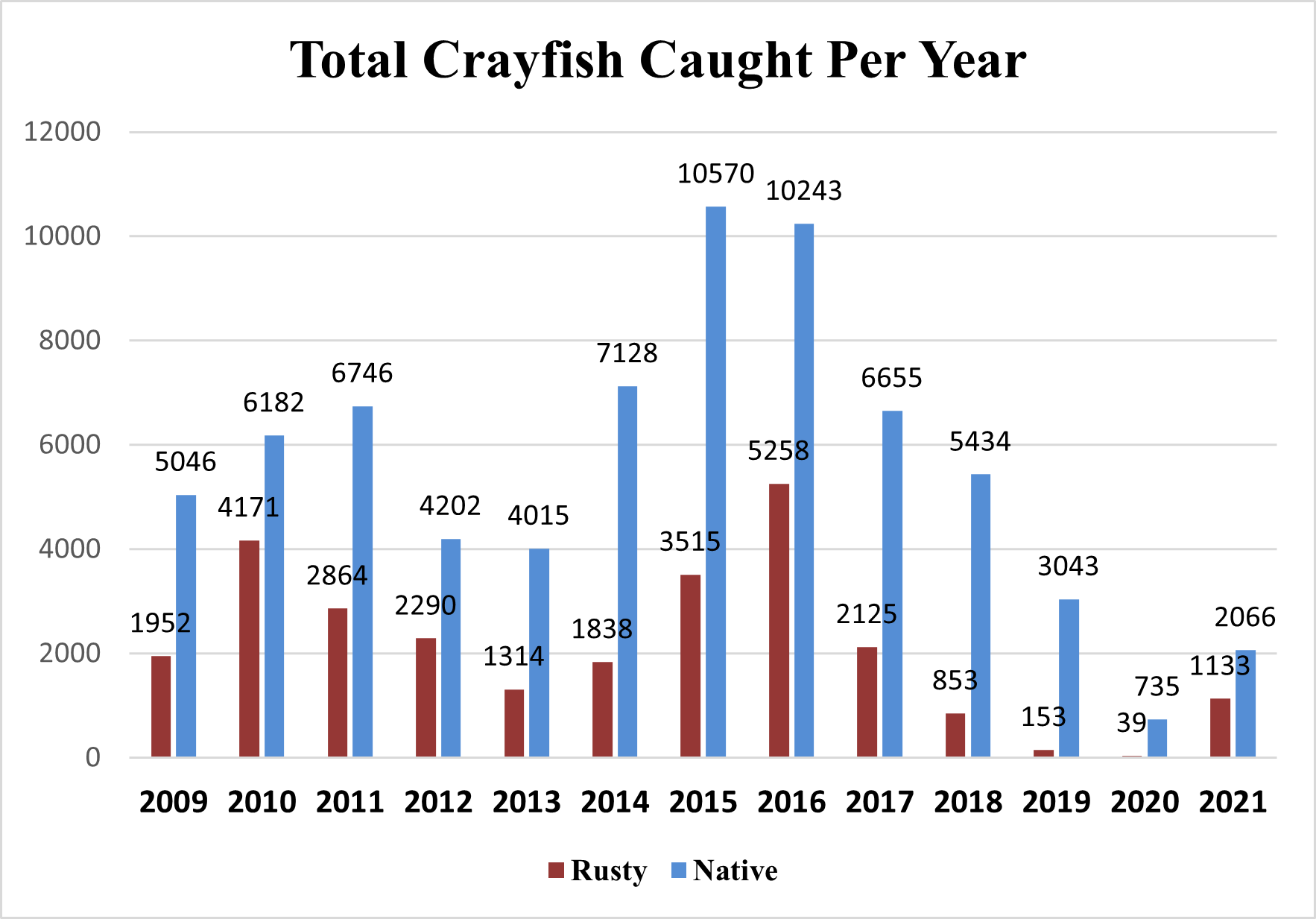 a graph shows about twice as many native crayfish captured versus invasive crayfish for every year between 2009 and 2021