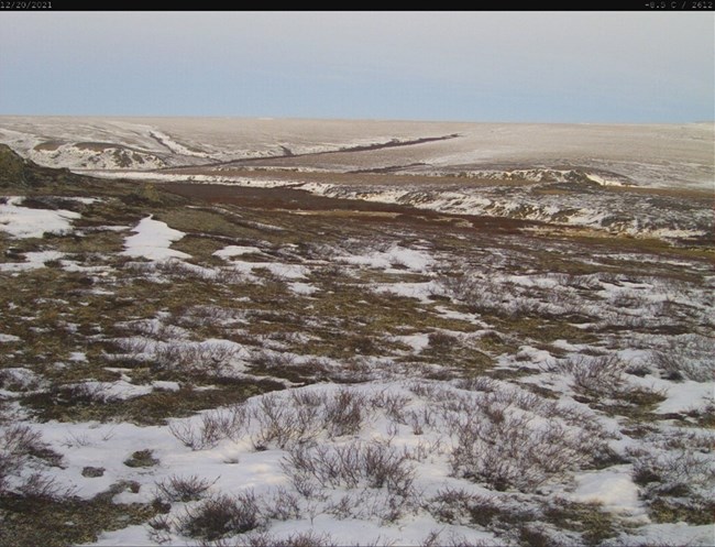 patchy snow on mostly exposed tundra in the winter at Serpentine Hot Springs