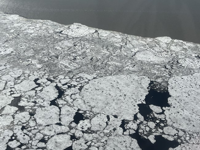 A black and white image of discontinue sea ice.