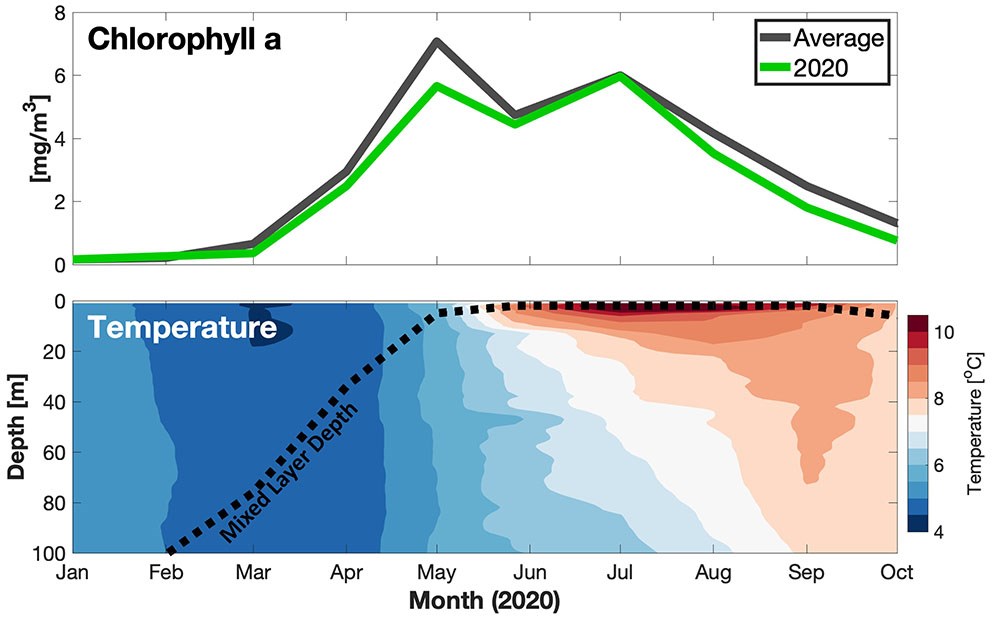 A figure showing chlorophyll and temperature over time and water depth.