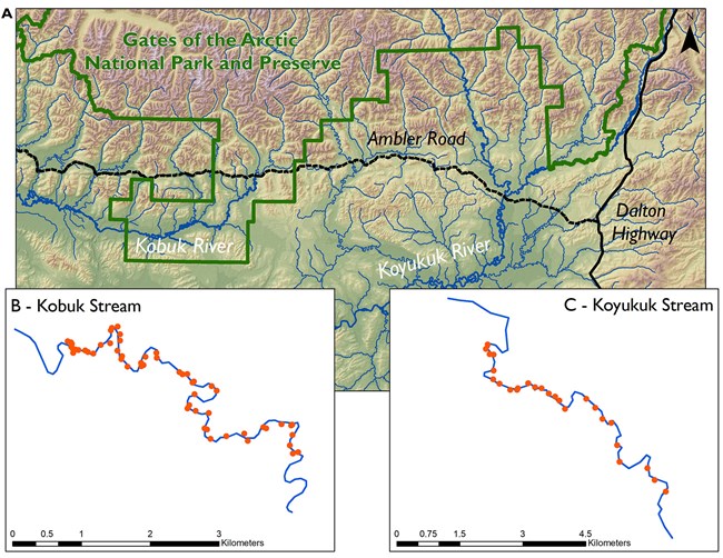 A map of the study area on the Koyukuk and Kobuk rivers.