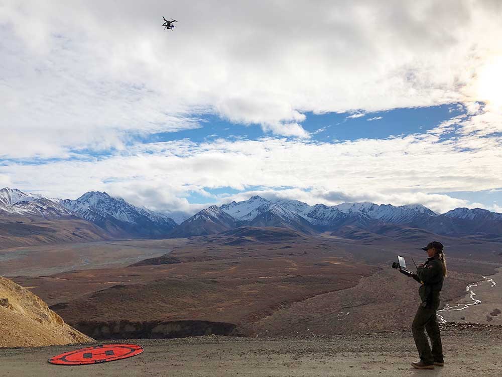 DENA UAS pilot_web A pilot flies a UAS in Denali.
