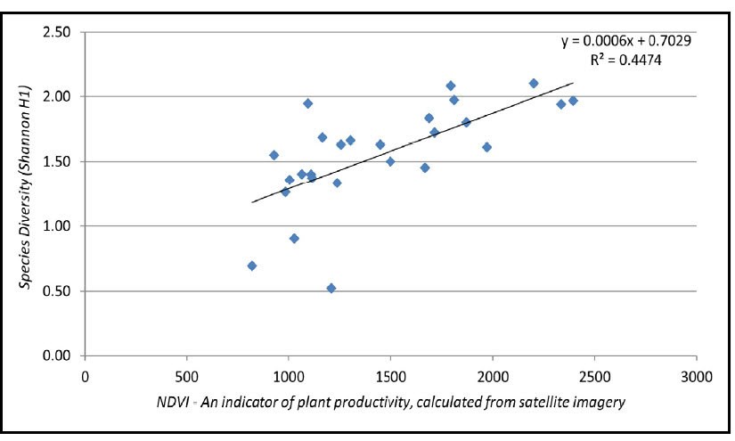 Line graph plotting bird species diversity (y-axis) as a function of NDVI (plant productivity, x-axis). The graph shows a best-fit line with a positive trend. R-squared = 0.4474.