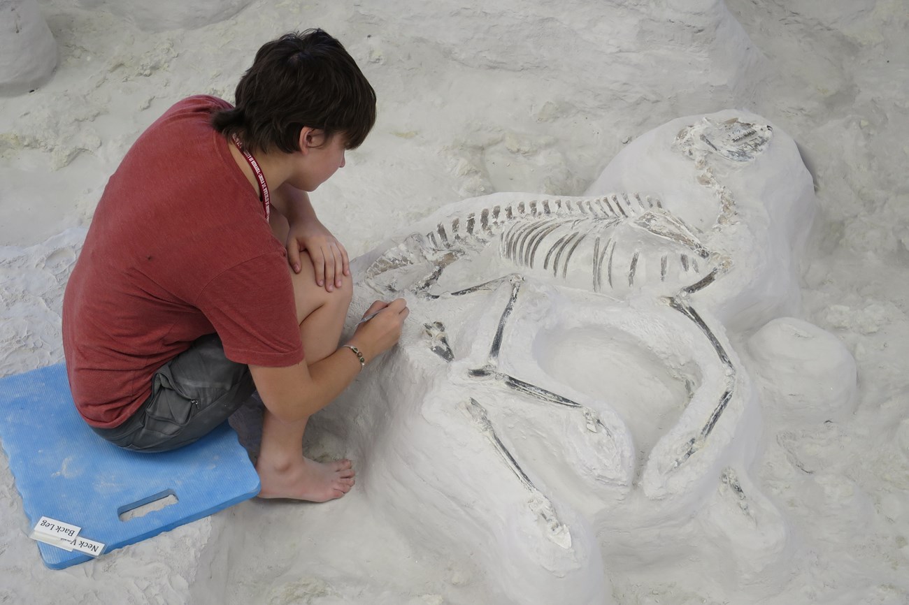 photo of a person working on a fossil in the ashbed