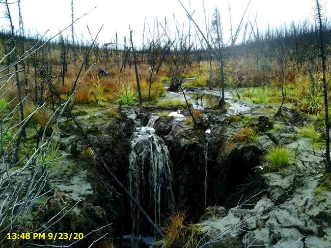 A gully erodes muddy area in a burn site.