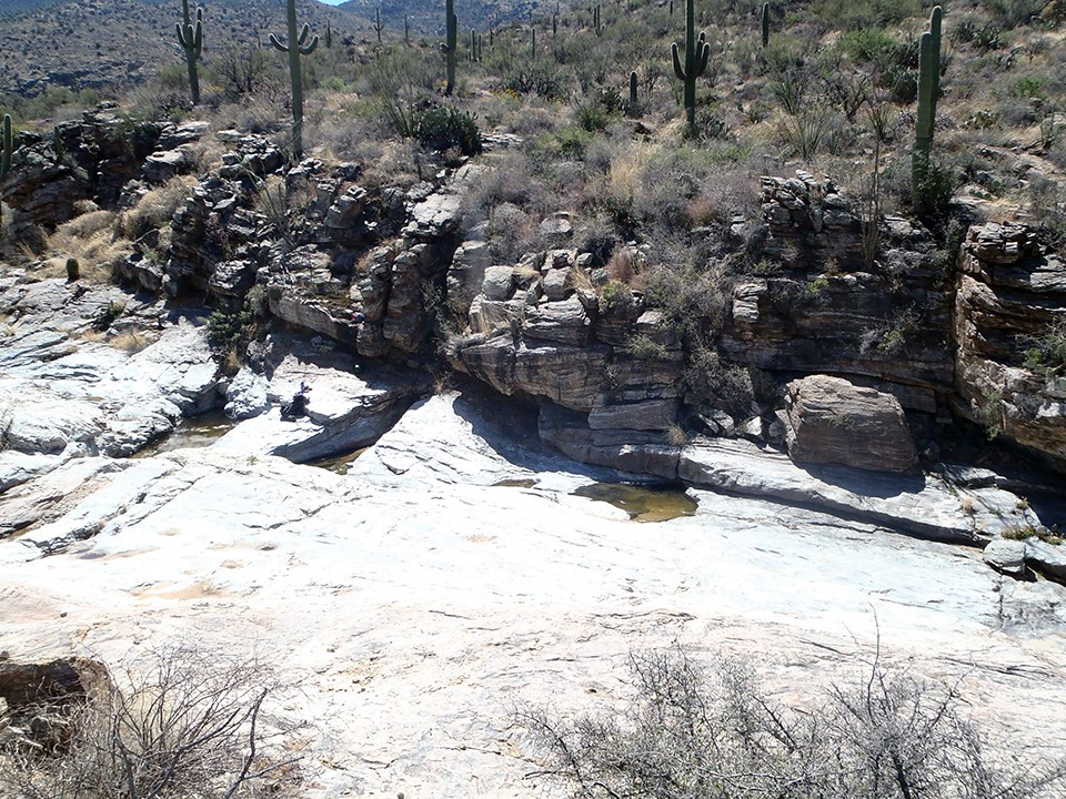 A series of pools of water in a bedrock drainage within a desert canyon.