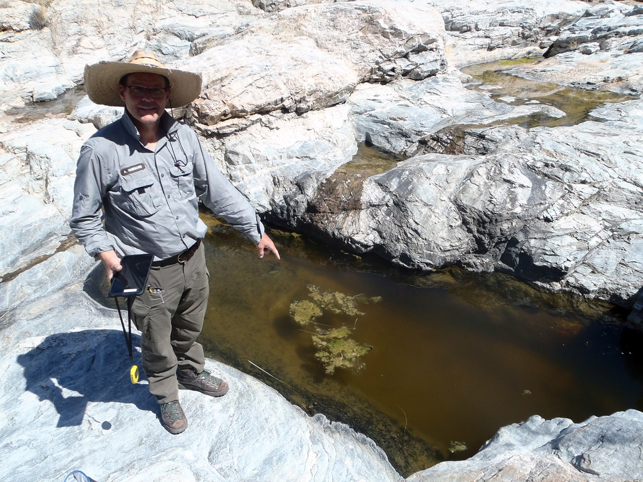Wildhorse Tank 10G Park scientist pointing at a large pool of water in a bedrock depression.