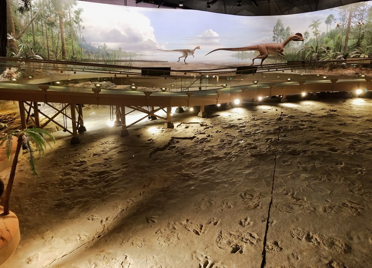 Photo of the dinosaur trackway exhibit center.