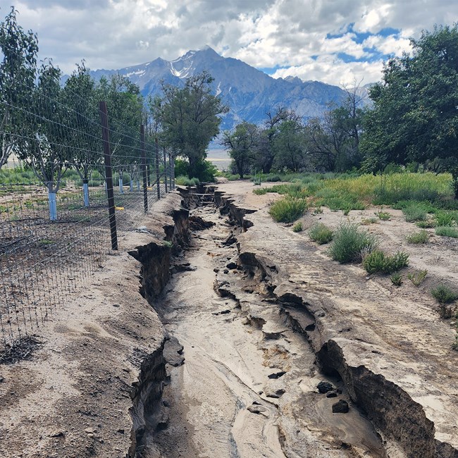 Tropical Storm Hilary storm damage Large ditch carved into orchard from storm flooding