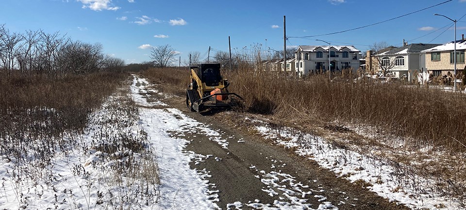 A piece of equipment mows down tall vegetation near houses.