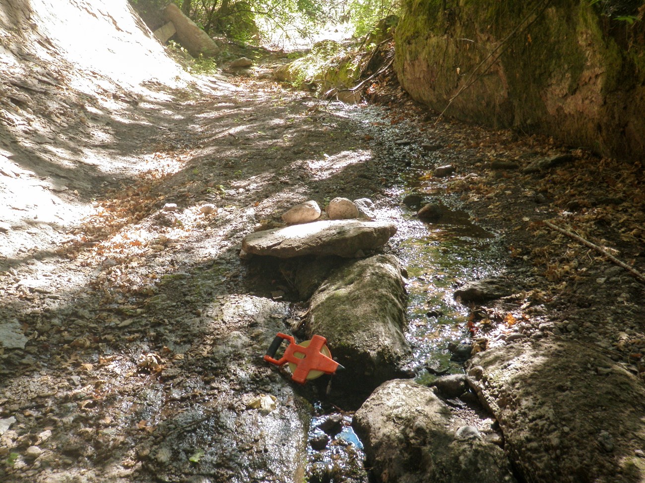 A small pool and stream in a rocky channel.