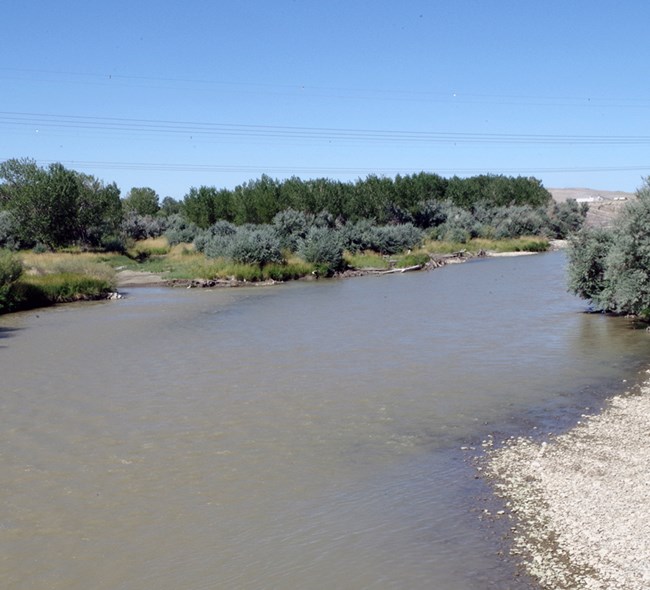 Shoshone River at Kane, Wyoming A brownish river with shallow banks lined with pebbles and shrubs