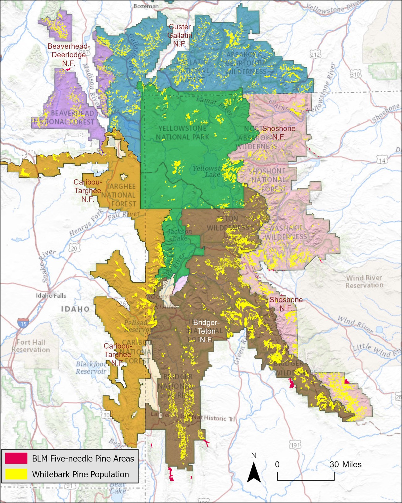 Map of the Greater Yellowstone Ecosystem, with agency boundaries, showing national park lands surrounded by several different forest lands.