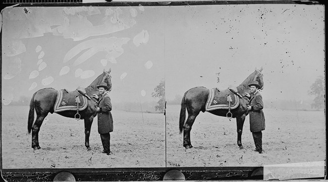 Black and white photo of man standing next to a horse, holding the horse by its head